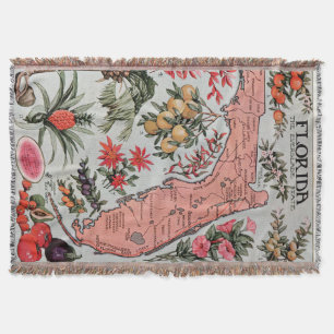 Vintage Map of Florida (1917) Throw Blanket