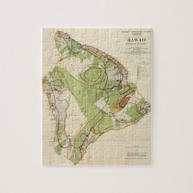Vintage Map of Hawaii Island (1906) Jigsaw Puzzle (Vertical)
