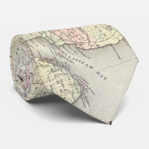 Vintage Map of Michigan & Wisconsin (1862) Tie