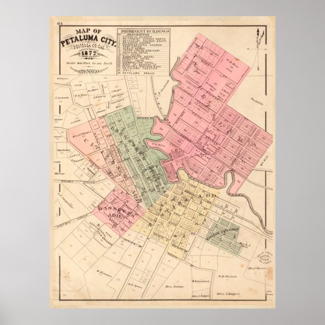Vintage Map of Petaluma CA (1877) Poster (Front)