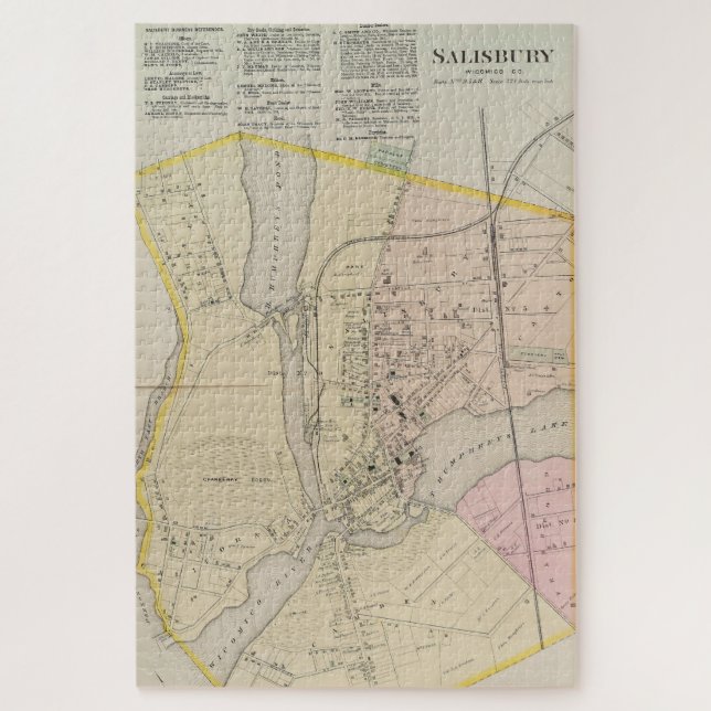 Vintage Map of Salisbury MD (1877) Jigsaw Puzzle (Vertical)