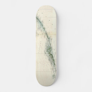 Vintage Map of The Florida Keys (1859) Skateboard