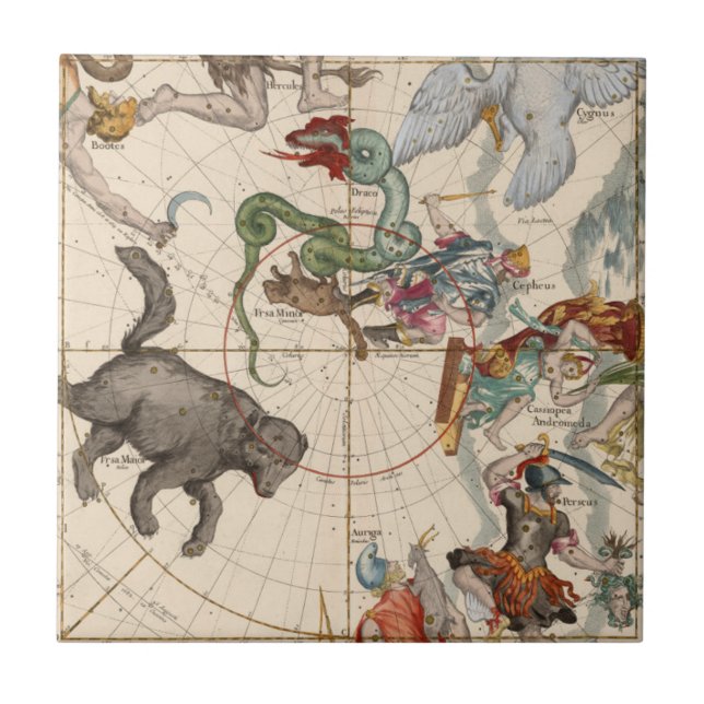 Vintage Map of the North Pole Tile (Front)