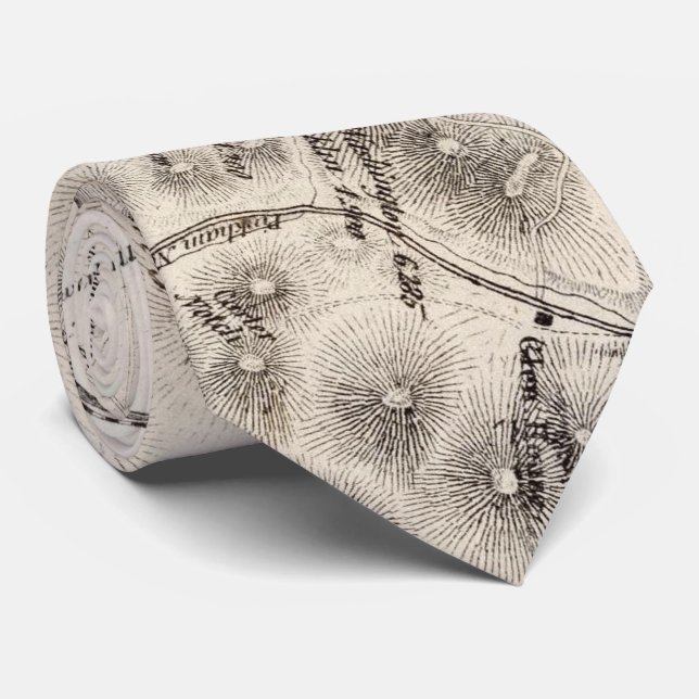 Vintage Map of The White Mountains (1872) Tie (Rolled)