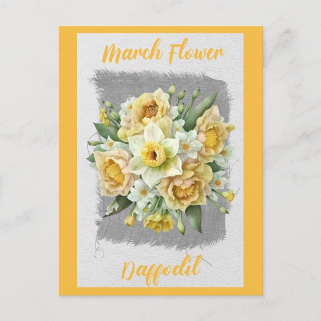 Vintage March Flower Daffodil Floral  Postcard (Front)