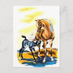 Vintage Mare Colt Filly Horse Equestrian Postcard