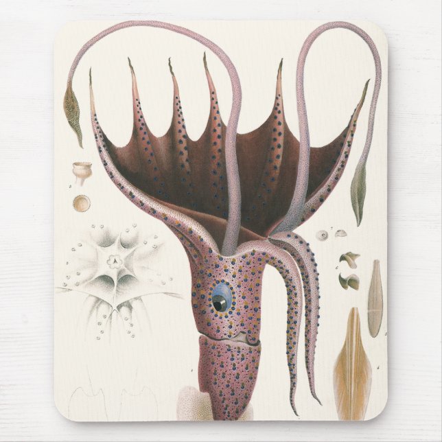 Vintage Marine Life Animals, Umbrella Squid Mouse Pad (Front)