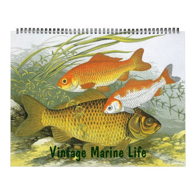 Vintage Marine Life Fish, Oceans and Rivers Calendar (Cover)