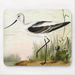 Vintage Marine Life Shorebirds, Avocet Birds Mouse Pad