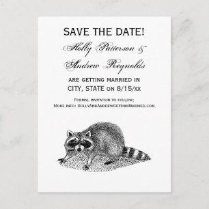 Vintage Masked Raccoon Announcement Postcard
