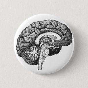 Vintage medical anatomy illustration human brain 2 inch round button