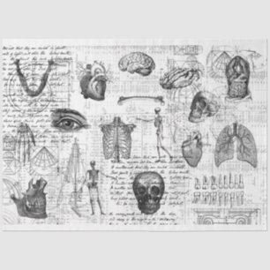 Vintage Medical Body Gothic B&W Tissue Paper