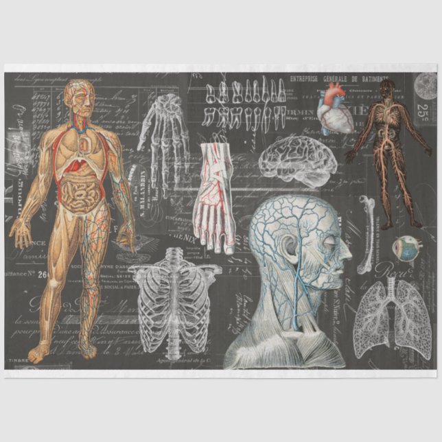 Vintage Medical Body Gothic Halloween Tissue Paper (Front)