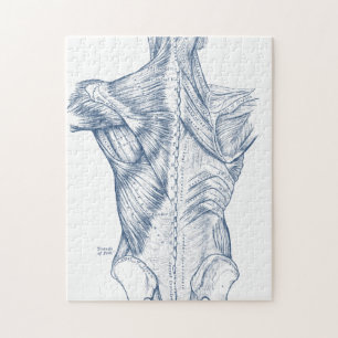 Vintage Medical Drawing Back Muscles Blue (1890) Jigsaw Puzzle