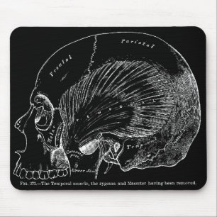 Vintage Medical Drawing Human Temporal Muscle Mouse Pad