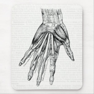 Vintage Medical Drawing Muscles of the Hand Mouse Pad