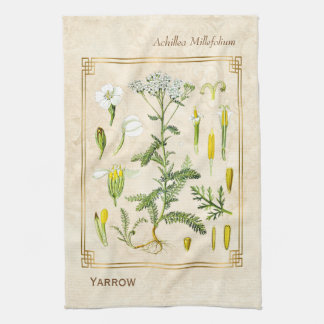Vintage Medicinal Herb Yarrow Flower Botanical Kitchen Towel