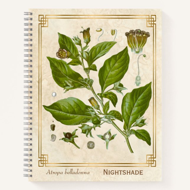 Vintage Medicinal Plant Nightshade Belladonna Herb Notebook (Front)