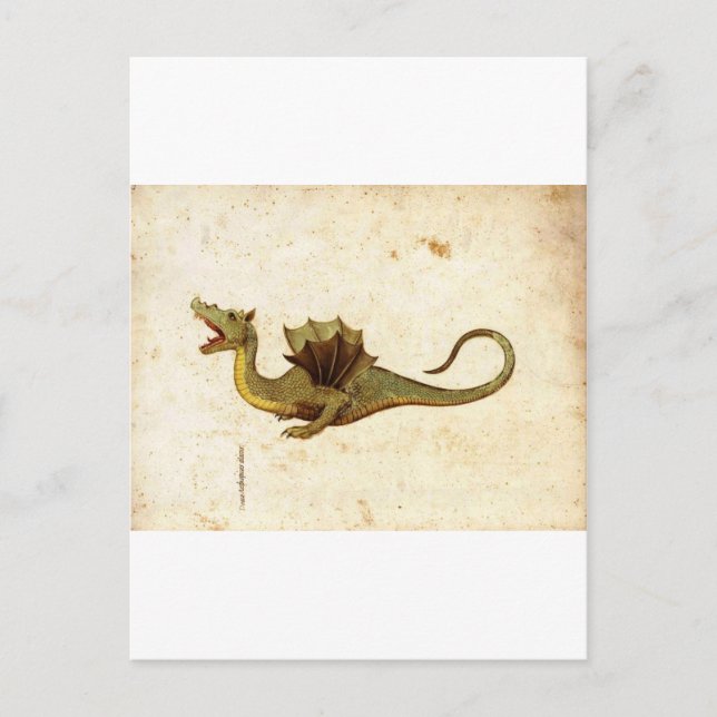 Vintage Medieval Dragon Design Postcard (Front)