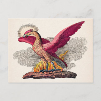 Vintage Medieval Phoenix Postcard