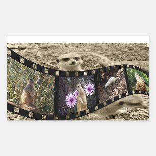 Vintage Meerkat Photo Strip, Sticker
