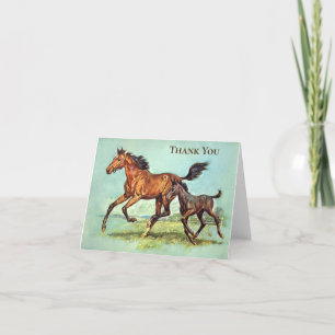 Vintage - Merci - Chevaux courir dans un pâturage,