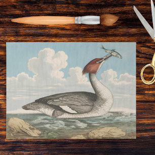 Vintage Merganser Duck Goosander Fauna Plate Tissue Paper