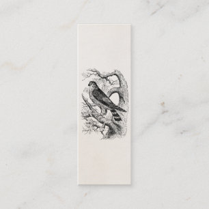 Vintage Merlin Falcon Bird - Birds Template Blank Mini Business Card