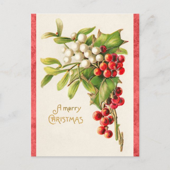 Vintage Merry Christmas Holly Postcard (Front)