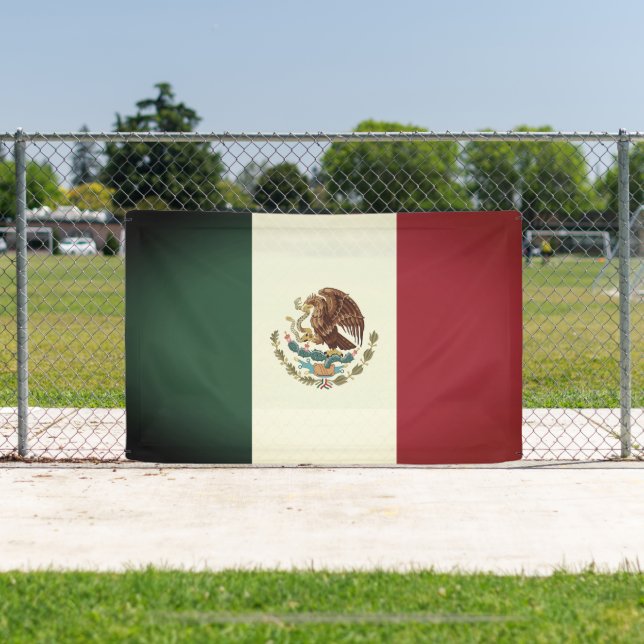 Vintage mexican flag of Mexico custom banner sign (Insitu)