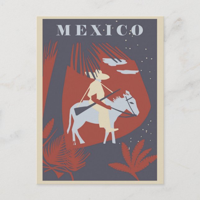 Vintage Mexico Palm Tree Travel Postcard (Front)