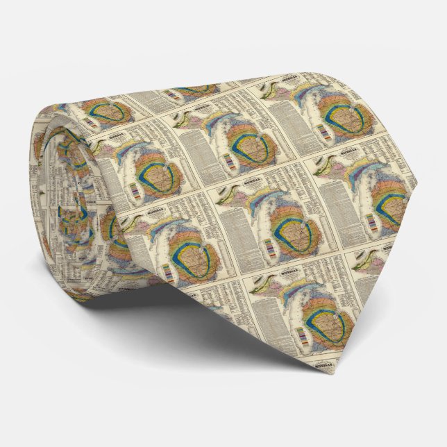 Vintage Michigan Geological Map (1865) Tie (Rolled)