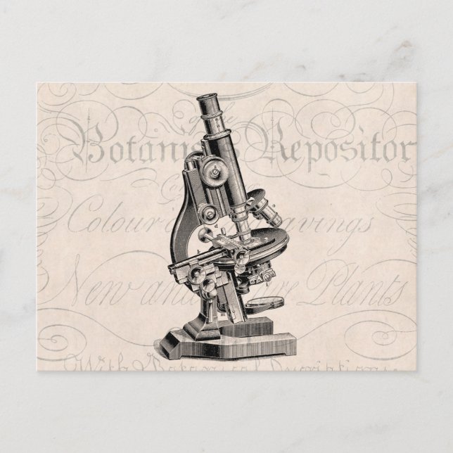 Vintage Microscope Illustration Retro Steampunk Postcard (Front)