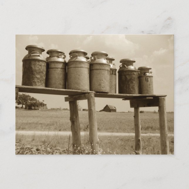 Vintage Milk Cans Postcard (Front)