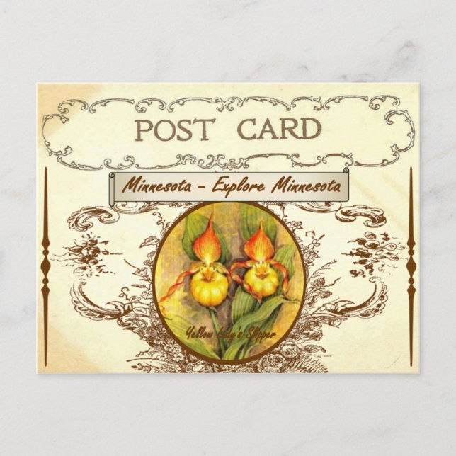 Vintage Minnesota State Flower Postcard (Front)