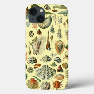 Vintage Mollusk Shell Seashell Art iPhone 13 Case