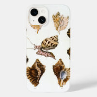 Vintage Mollusks and Snails, Marine Life Organisms