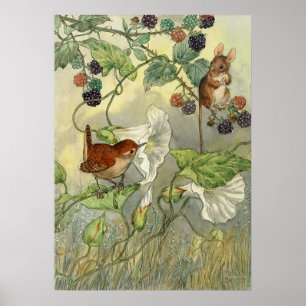 Vintage, Molly Brett Nature Art Bird, Mouse Poster