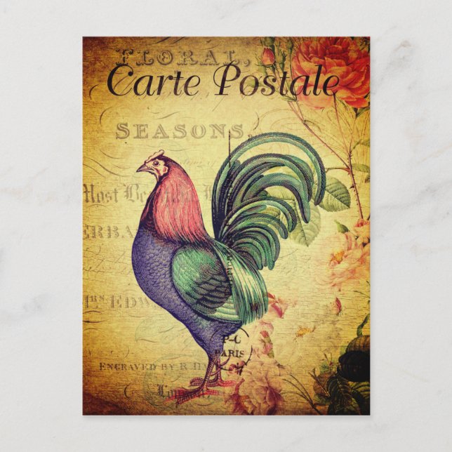 Vintage Money-Style Rooster Postcard (Front)