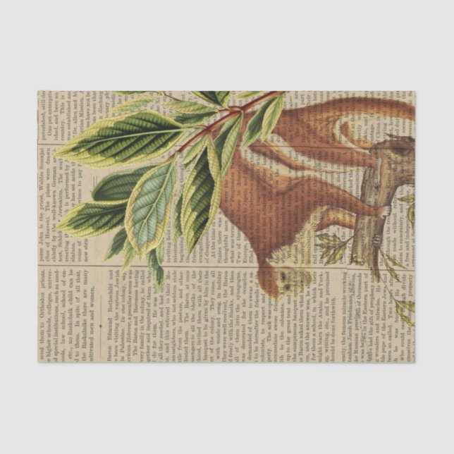 Vintage Monkey Collage Tissue Paper (Front)
