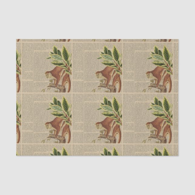 Vintage Monkey Collage Tissue Paper (Front)