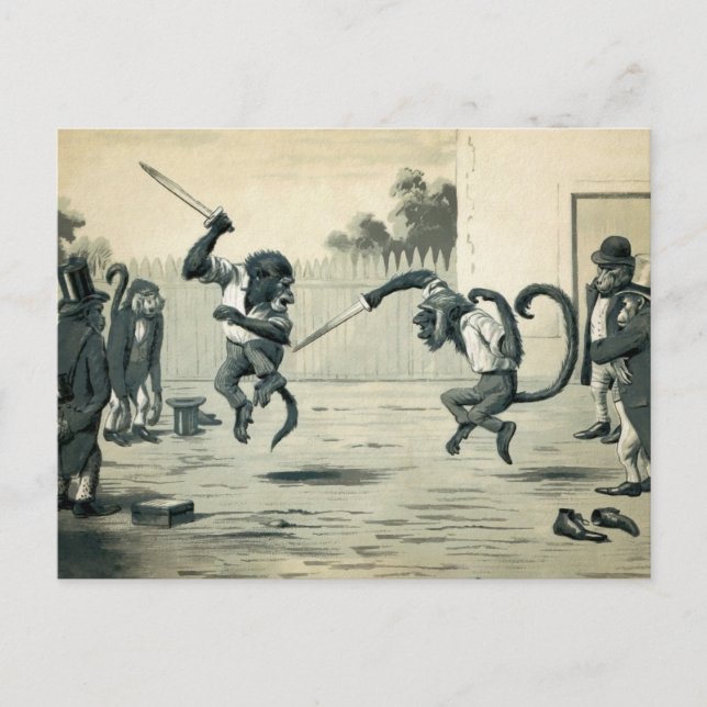 Vintage Monkey Duel Postcard (Front)