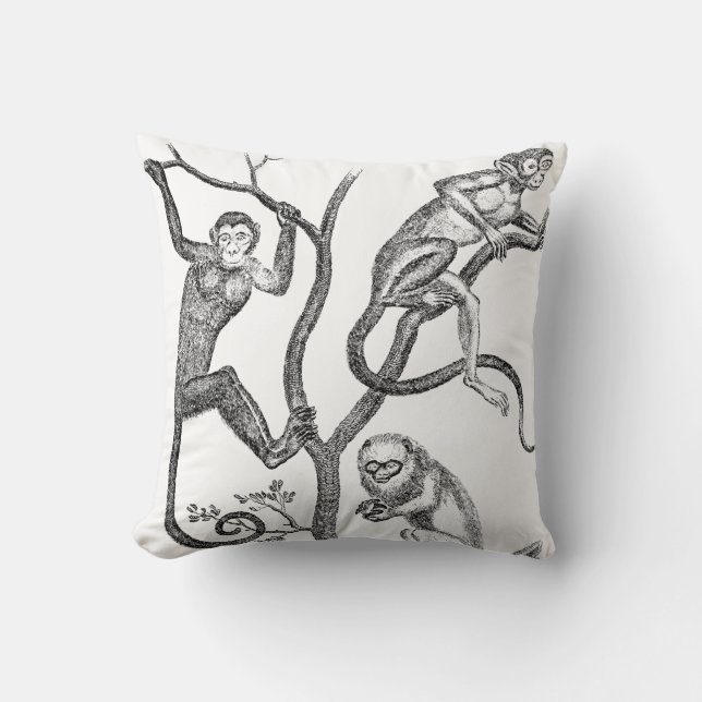 Vintage Monkey Illustration - 1800's Monkeys Throw Pillow (Front)