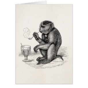 Vintage Monkey Smoking a Pipe Monkeys Animal
