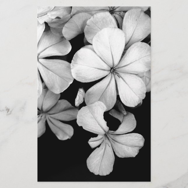 Vintage Monochrome Plumbago Artwork Stationery (Front)