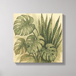 Vintage Monstera and Snake Plant Botanical Foliage Canvas Print