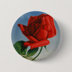 Vintage Montreux Red Rose Switzerland Geneva Lake 2 Inch Round Button