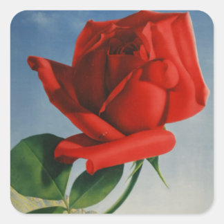 Vintage Montreux Red Rose Switzerland Geneva Lake Square Sticker