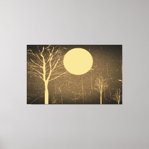 Vintage Moon Night Canvas Print