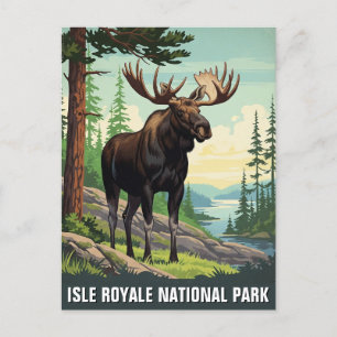 Vintage Moose at Isle Royale National Park Postcard